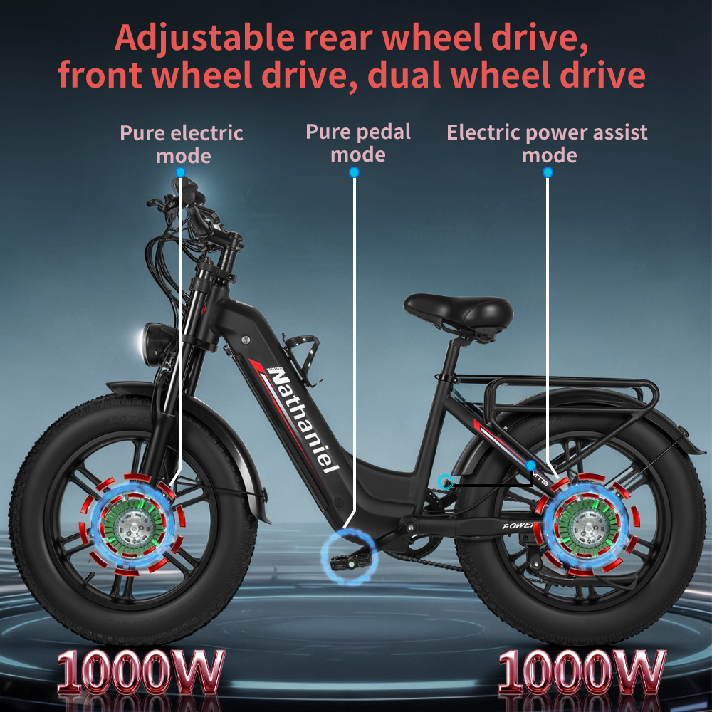 Bicicletta Elettrica per Adult - Dual Motor Ebike Kit 2000W recensione e prezzo